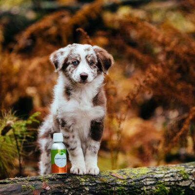 Nutrolin Puppy & Mom