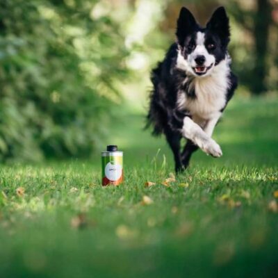Nutrolin Sport