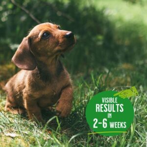 visible results