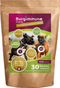 Burgimmune Forte tabletta